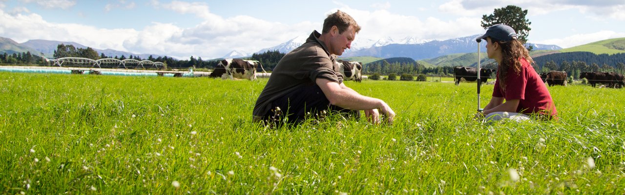 Farmers sitting in grass