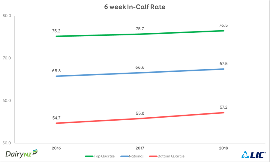 6 week in calf rate