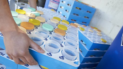 Herd testing flasks in tray