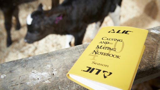 Mating and calving book