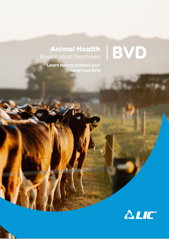 BVD Brochure Cover