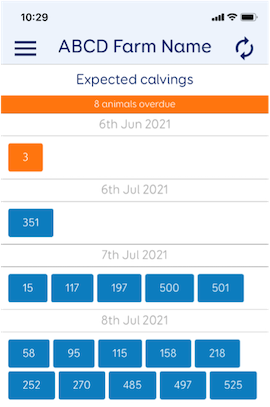 Calving features MINDA 01