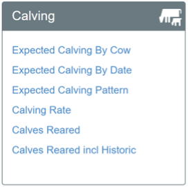 Calving features MINDA 2