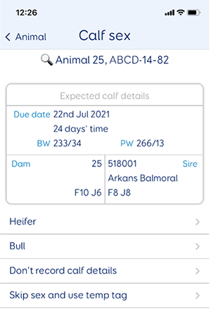 Calving features MINDA 3