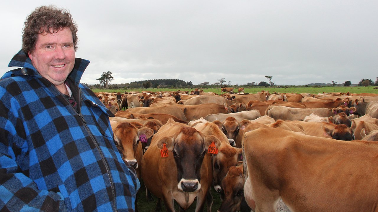 Dave Gibson, Kapuni-based SPS farmer