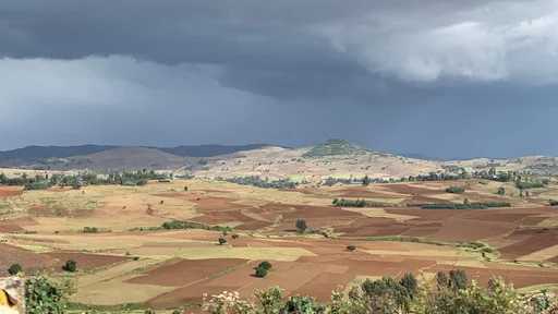 Ethiopian farmland