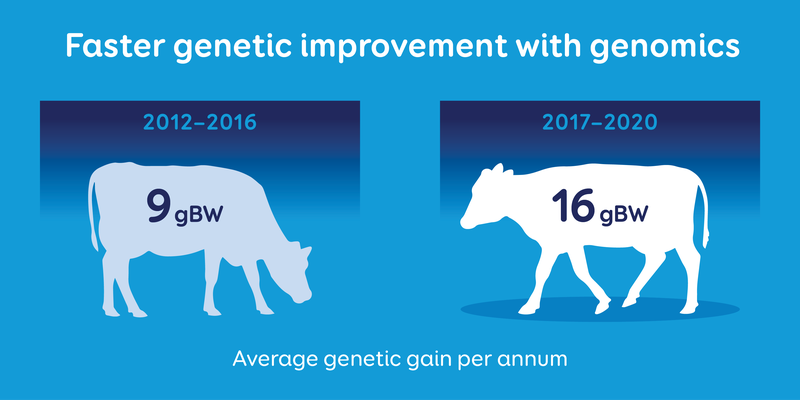 Faster genetic improvement with genomics