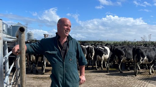 Francois Tillard - Southland farmer who uses LIC's Female Genotyping Service - landscape