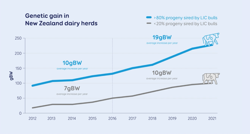 Genetic gain in New Zealand dairy herds