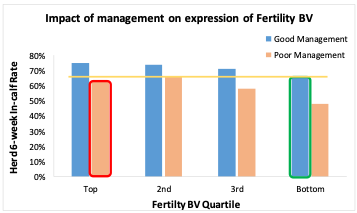 Graph 3: The impact of management on the expression of fertility BV, as shown by the reproductive performance in two herds with a similar herd average Fertility BV