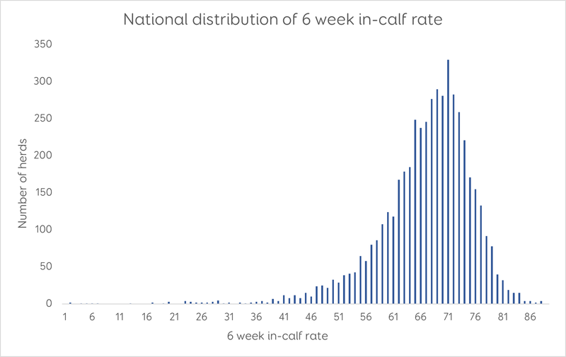 Graph 4: National distribution of 6 week in-calf rate
