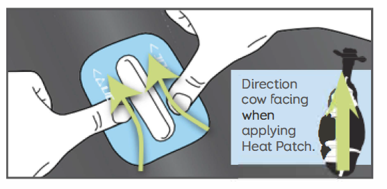 Heat patch application instructions 4