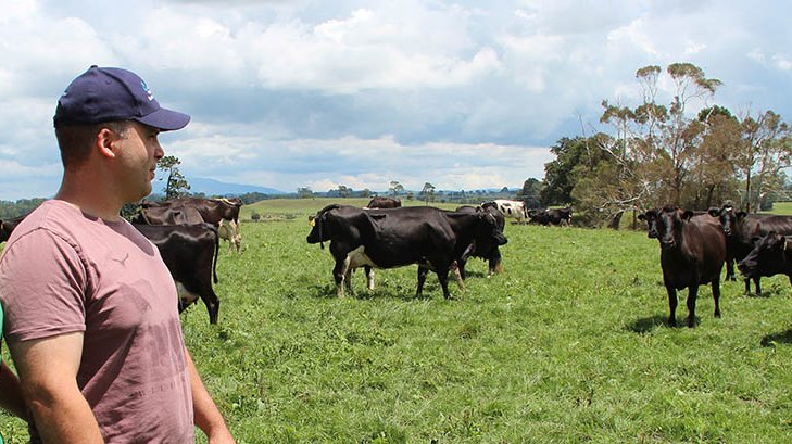 Michelle and Bill Burgess on their Te Poi farm