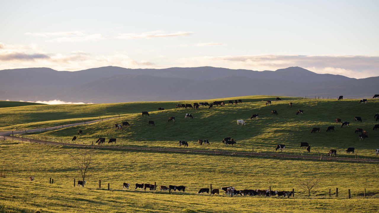 Wairarapa Moana - scenic