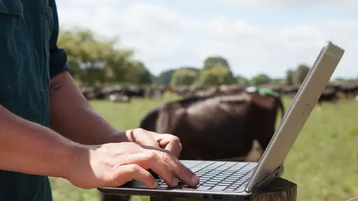 New data sharing capabilities give farmers the ability to transfer animal information directly from their MINDA account to other industry applications.jpg
