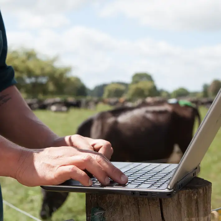 New data sharing capabilities give farmers the ability to transfer animal information directly from their MINDA account to other industry applications.jpg