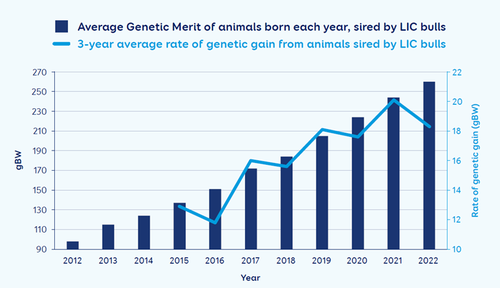 Rate of genetic gain in long-term users of LIC genetics