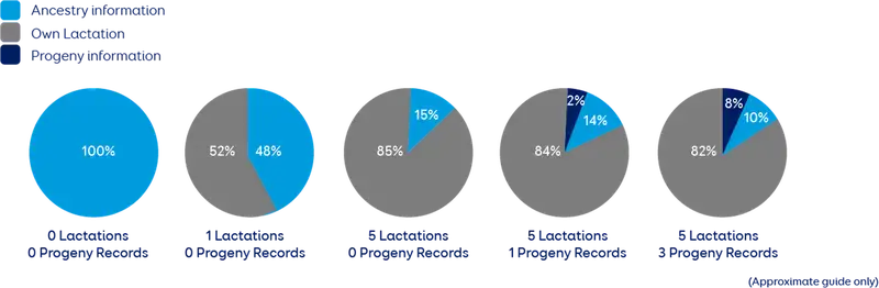 Pie chart PV 2024