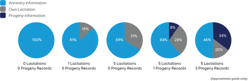 Pie charts 2024