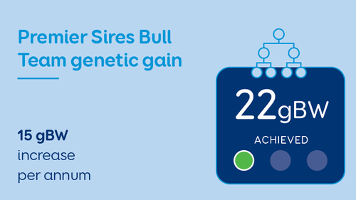 Premier Sires Bull Team Genetic Gain