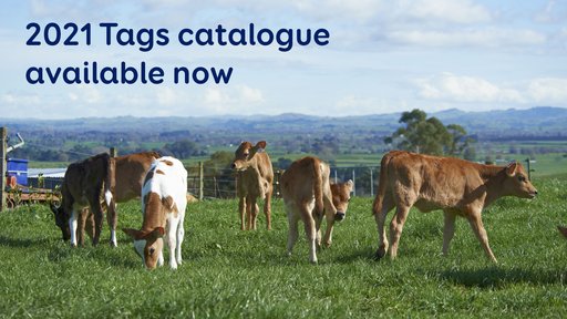 Publications-tagscatalogue2021.jpg