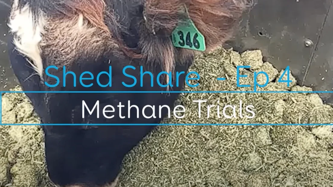 Shed Share Methane production