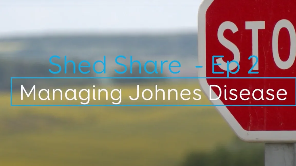 Shed Share JD 3