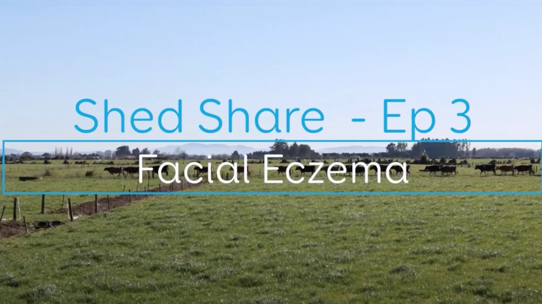 Shed Share Facial Eczema