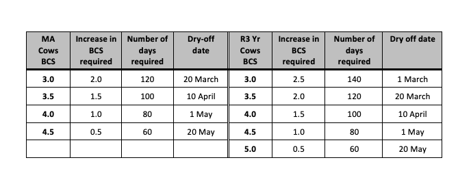 BCS table Autumn 2021