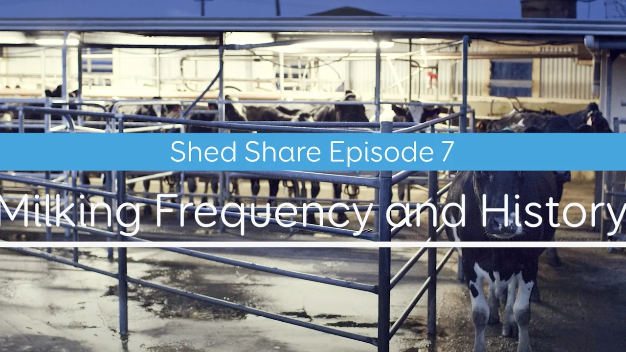 Shed Share - milking frequency
