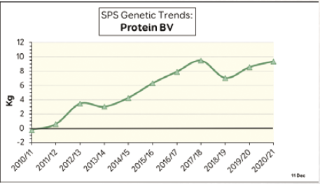 Bulletin 2021 SPS genetic trends protein bv