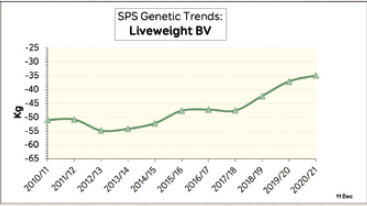 Bulletin 2021 SPS genetic trends liveweight bv