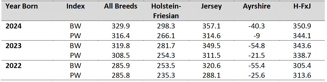 Heifer Averages (November 2024)