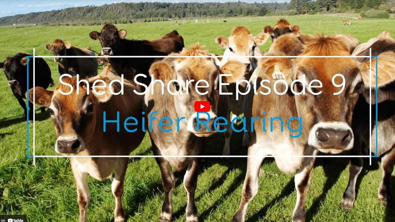 Shed Share Episode 9.JPG