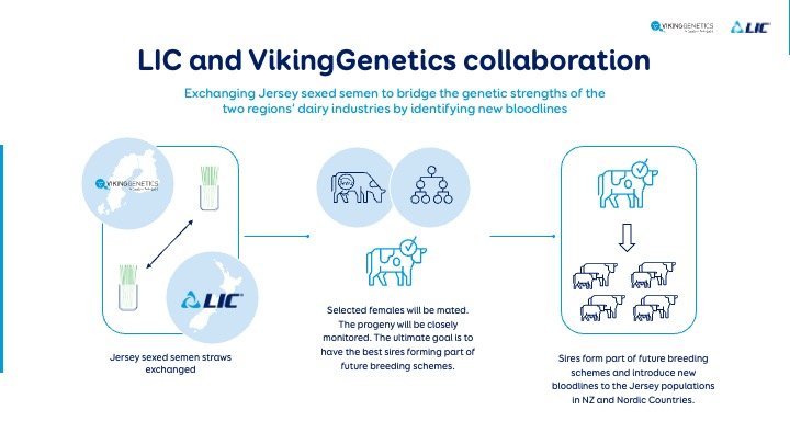 VikingGenetics