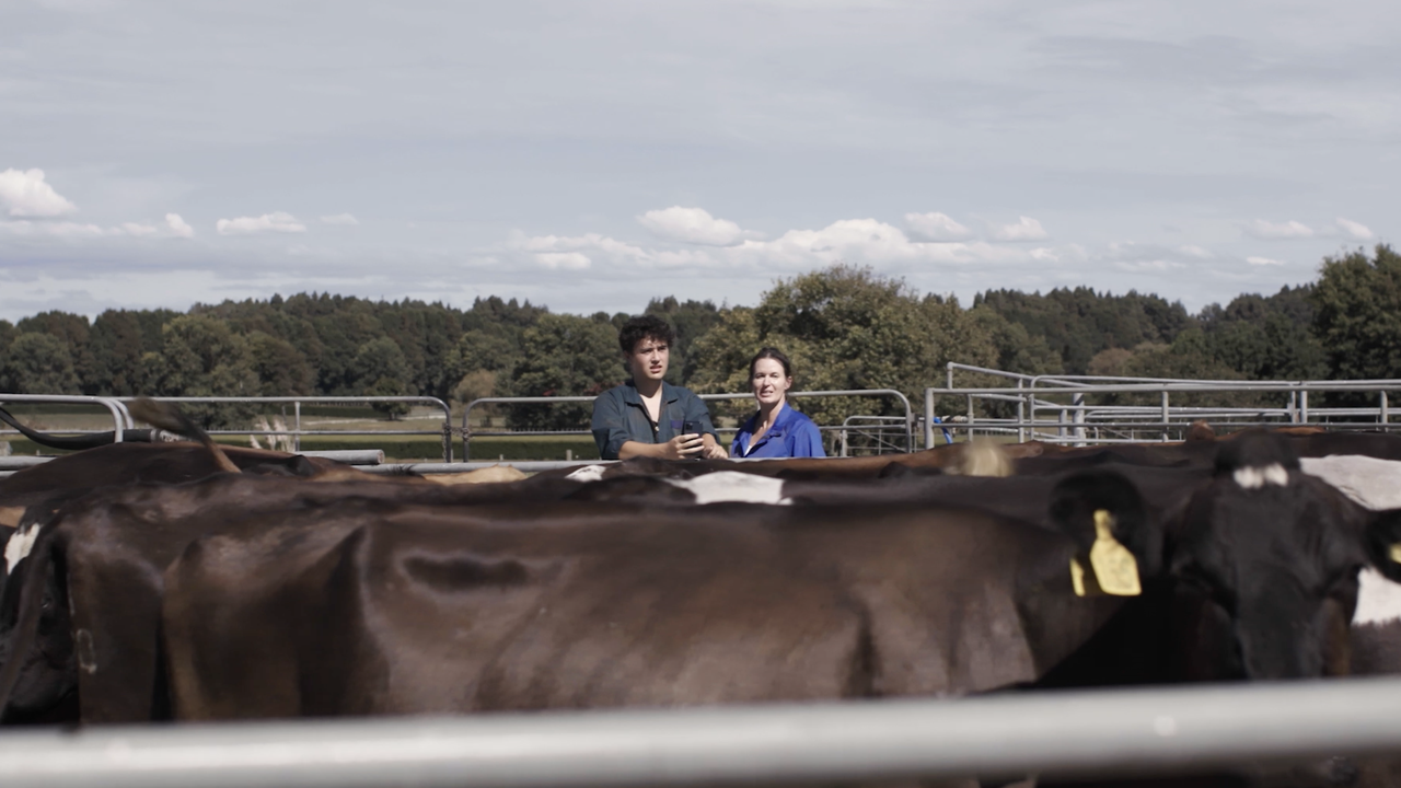 Tech boy app and cows.png