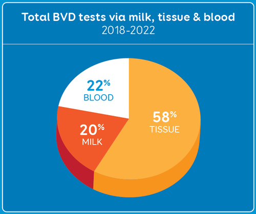Total BVD Tests pic chart