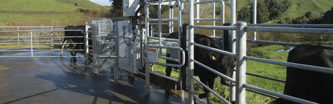 Protrack drafter in action 2