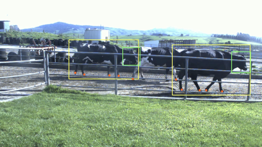 lameness detection AI